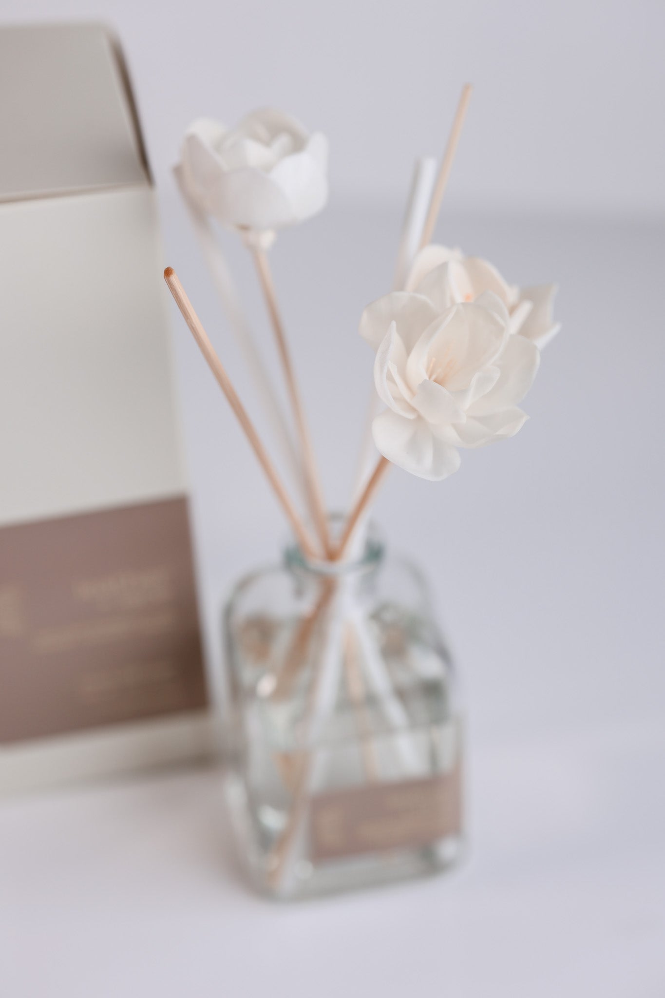 Leather + Lace Reed Diffuser - Sweet Aurora Co